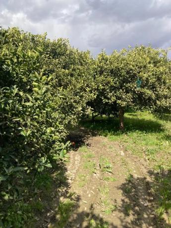 Terreno en via sin nombre, km 5