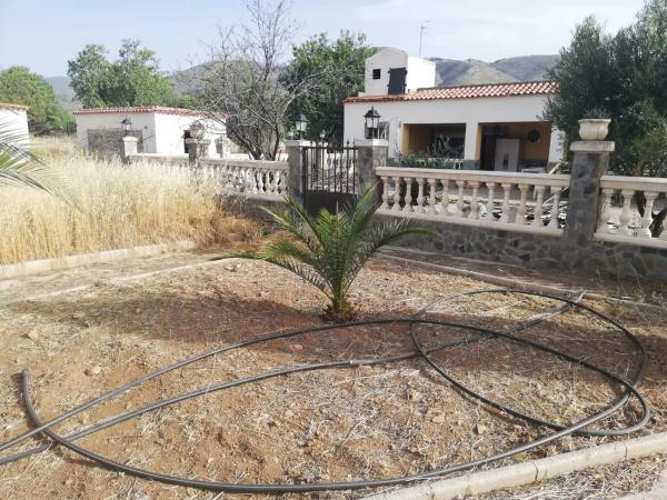 Terreno en calle Cervantes, 27