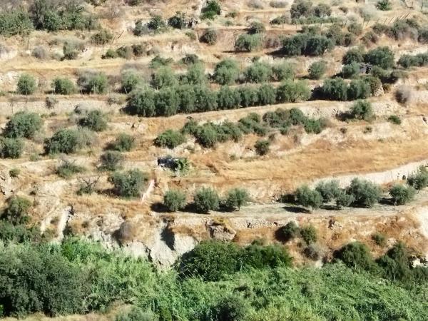 Terreno en La solana, 10