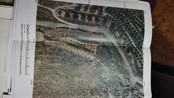 Terreno en La solana, 10