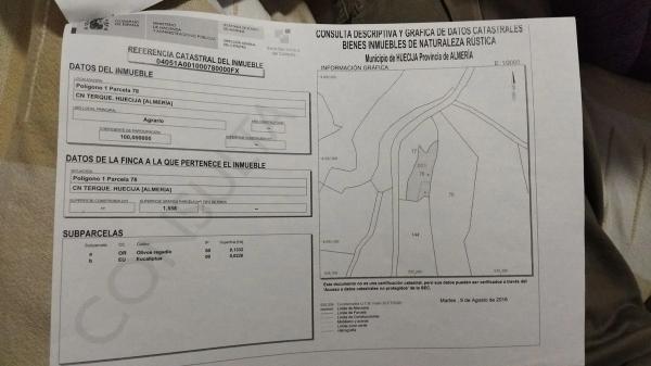 Terreno en La solana, 10