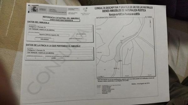 Terreno en La solana, 10