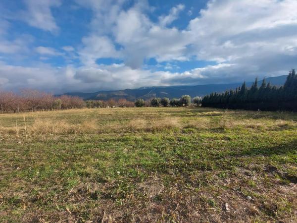 Terreno en Laujar de Andarax