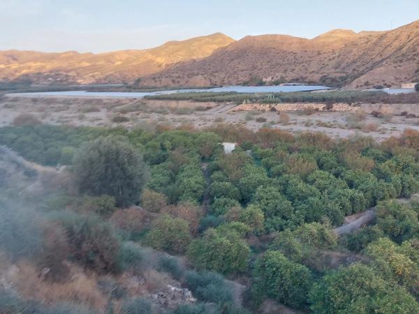 Terreno en Poligono 4 Parcela 51, 1