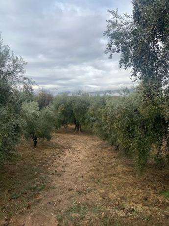 Terreno en A-348 s/n