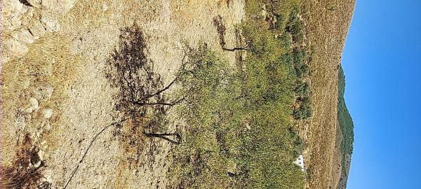 Terreno en camino del rio s/n