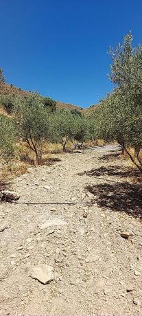 Terreno en camino del rio s/n