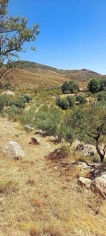 Terreno en camino del rio s/n