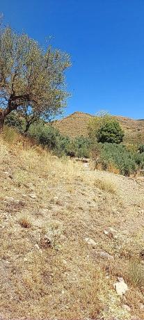 Terreno en camino del rio s/n