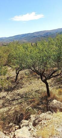 Terreno en camino del rio s/n