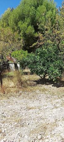 Terreno en camino del rio s/n