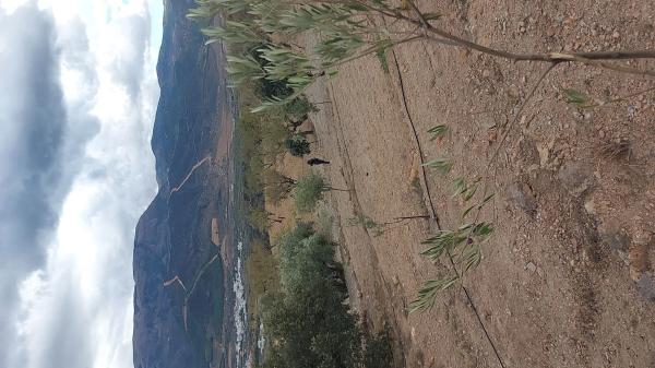 Terreno en camino del rio s/n