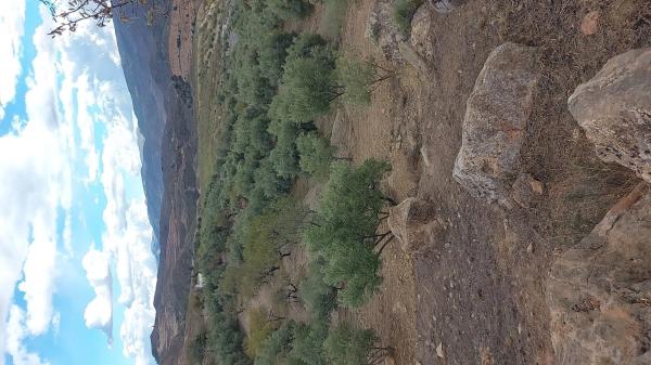 Terreno en camino del rio s/n