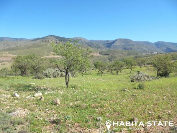 Terreno en Paraje El Cierzo s/n
