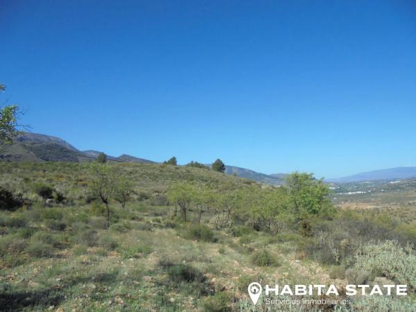 Terreno en Paraje El Cierzo s/n