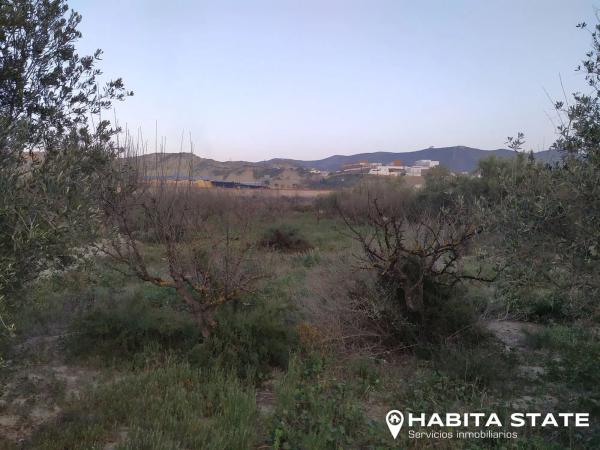 Terreno en Diseminado Diseminados, 12