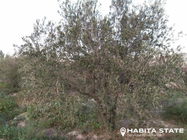 Terreno en Diseminado Diseminados, 12