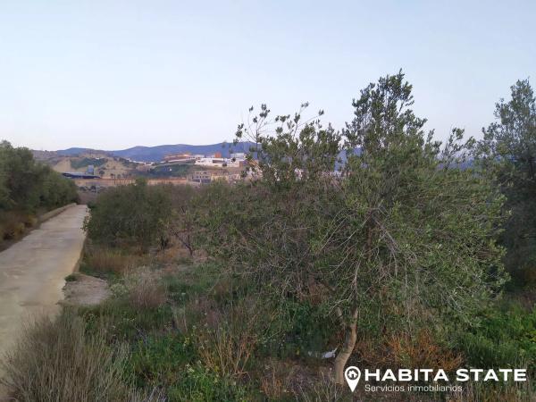 Terreno en Diseminado Diseminados, 12