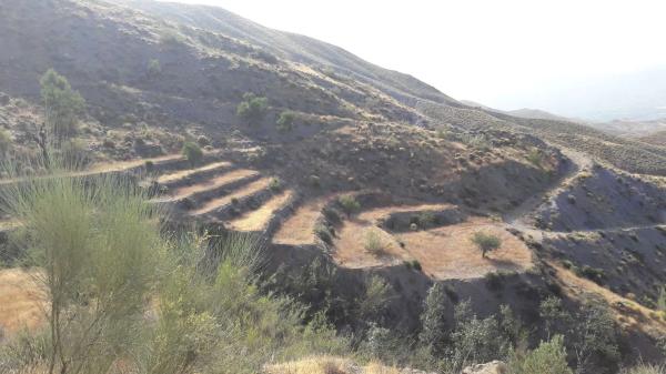 Terreno en Rágol s/n
