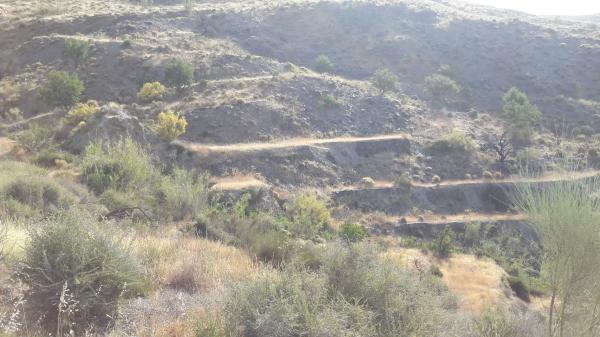 Terreno en Rágol s/n