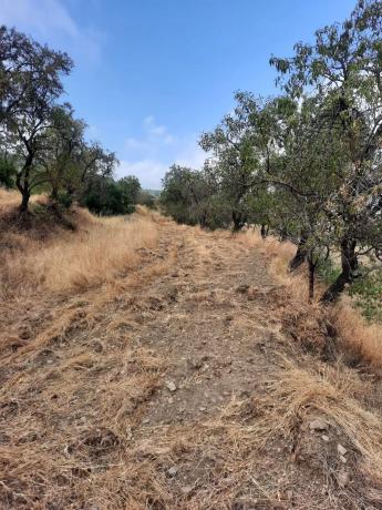 Terreno en Al-5402 s/n