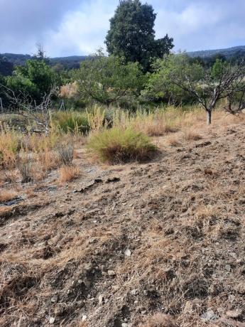 Terreno en Al-5402 s/n