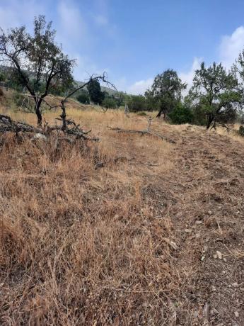 Terreno en Al-5402 s/n