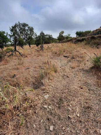 Terreno en Al-5402 s/n