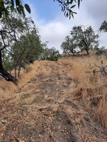 Terreno en Al-5402 s/n