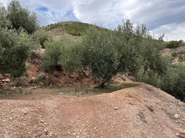 Terreno en Alhama de Almeria s/n