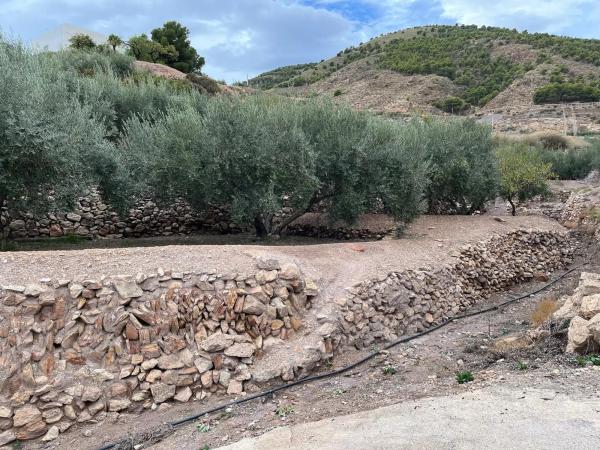 Terreno en Alhama de Almeria s/n