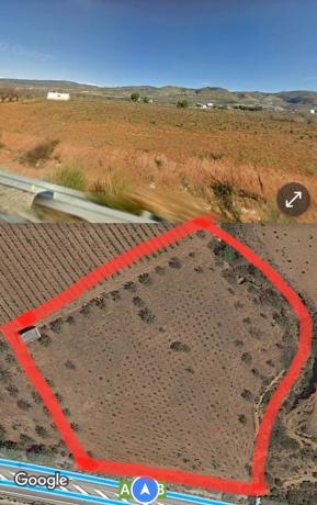 Terreno en Paraje del Llano s/n