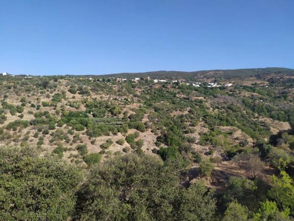 Terreno en Al-5402 s/n