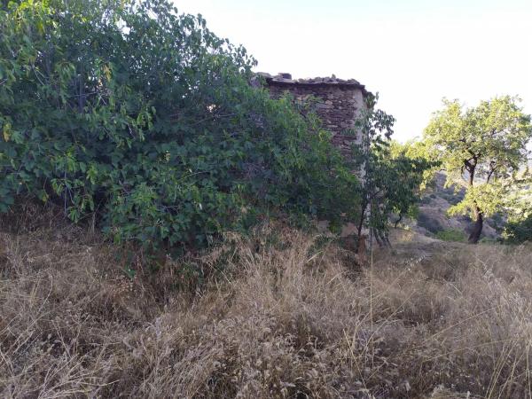 Terreno en Al-5402 s/n