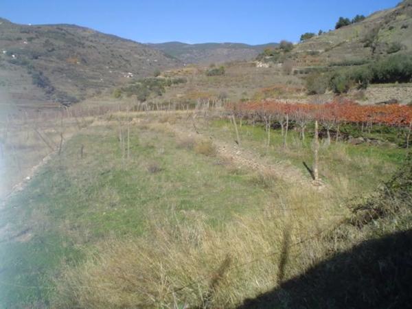 Terreno en calle Iglesia s/n Sn