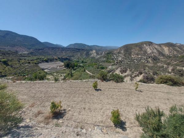 Terreno en calle Canjayar s/n