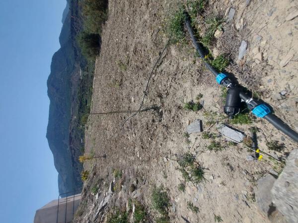 Terreno en calle Canjayar s/n