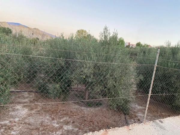 Terreno en carretera A-1075 s/n