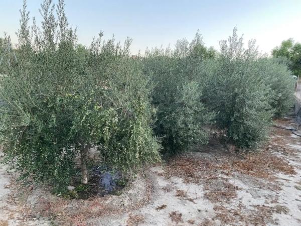 Terreno en carretera A-1075 s/n