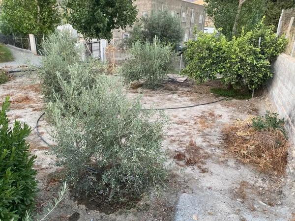 Terreno en carretera A-1075 s/n