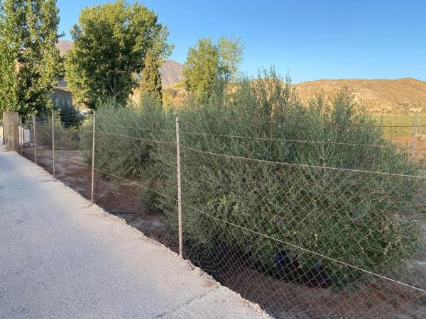 Terreno en carretera A-1075 s/n