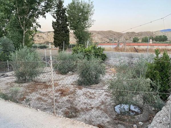 Terreno en carretera A-1075 s/n