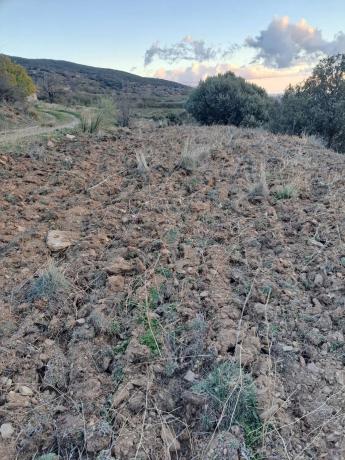 Terreno en al-5402 s/n