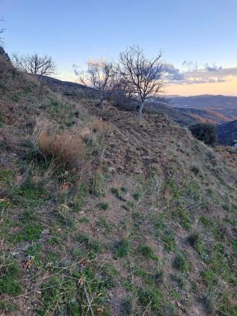 Terreno en al-5402 s/n