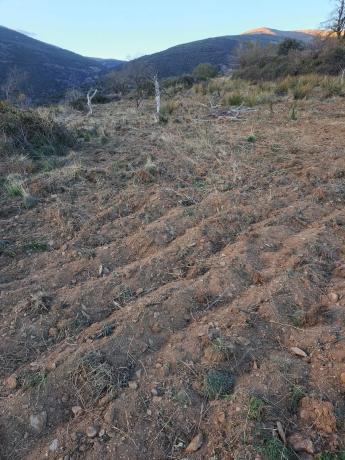 Terreno en al-5402 s/n