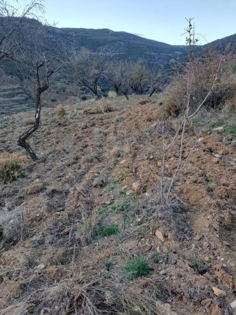 Terreno en al-5402 s/n