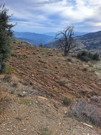 Terreno en al-5402 s/n