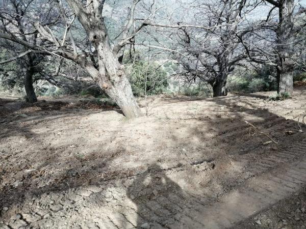 Terreno en al-5402 s/n