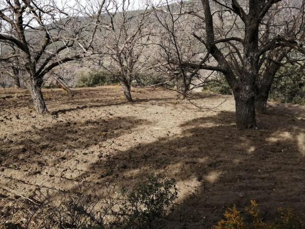 Terreno en al-5402 s/n