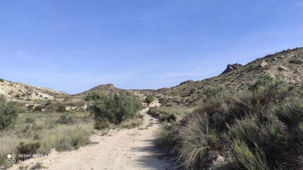 Terreno en El Gor, 1